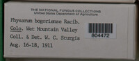 Image Associated With the Occurence